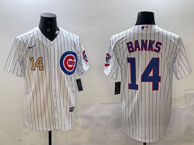 Men Chicago Cubs #14 Banks White Stripe Game 2025 Nike MLB Jersey style 2->chicago cubs->MLB Jersey